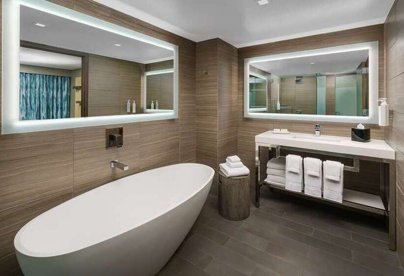 带大床的标准间, Hilton Branson Convention Center