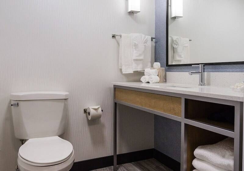 اتاق استاندارد, Hilton Garden Inn Atlanta Marietta