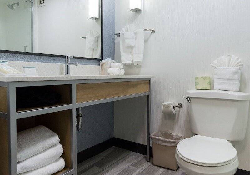 اتاق استاندارد, Hilton Garden Inn Atlanta Marietta