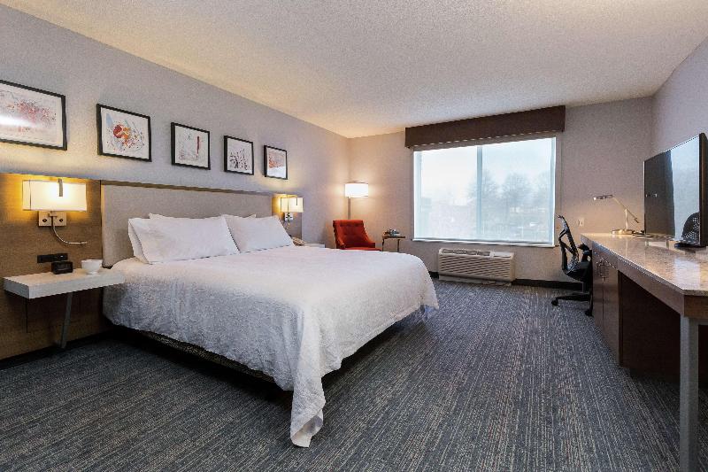 اتاق استاندارد با تخت بزرگ, Hilton Garden Inn Atlanta Northpoint