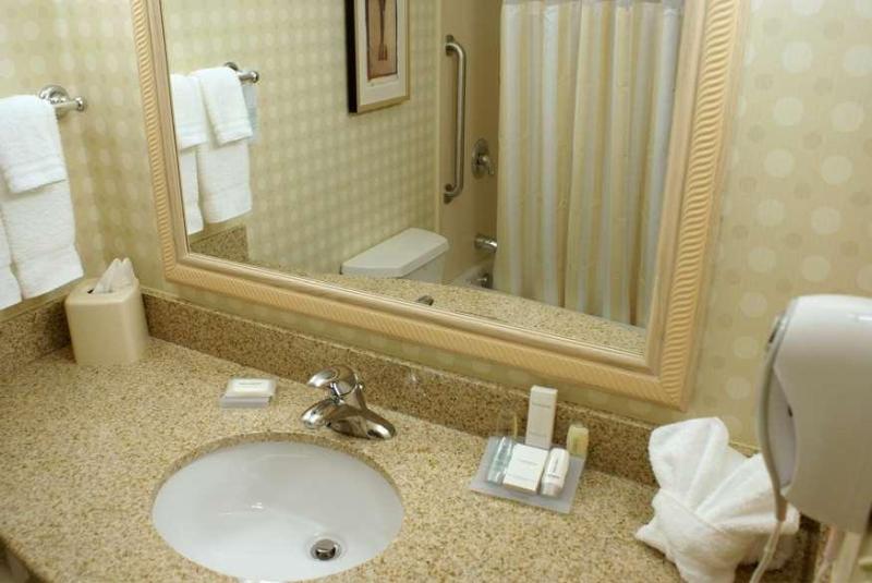 اتاق استاندارد با تخت دو نفره بزرگ, Hilton Garden Inn Colorado Springs Airport