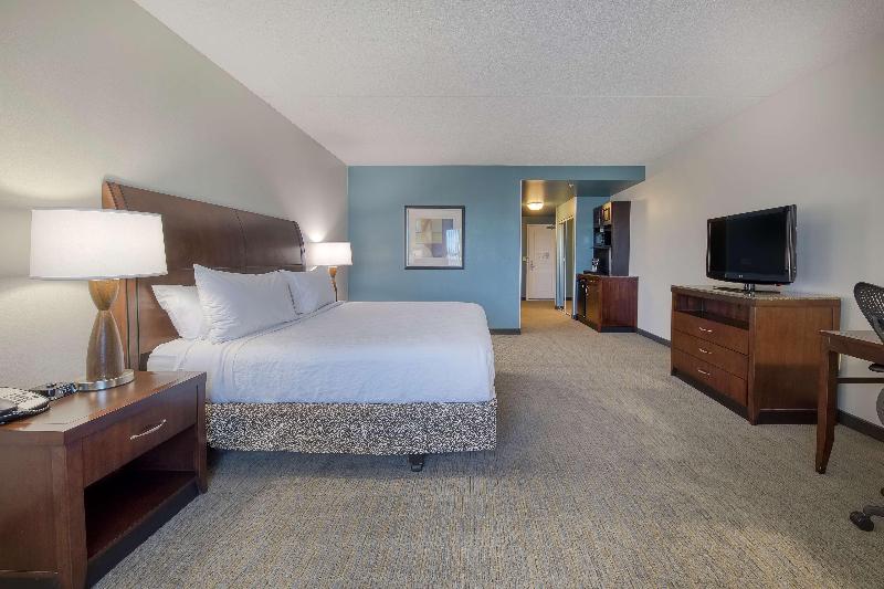 اتاق استاندارد با تخت بزرگ, Hilton Garden Inn Durham Southpoint