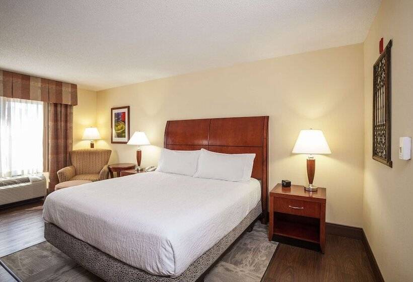 اتاق استاندارد, Hilton Garden Inn El Paso / University