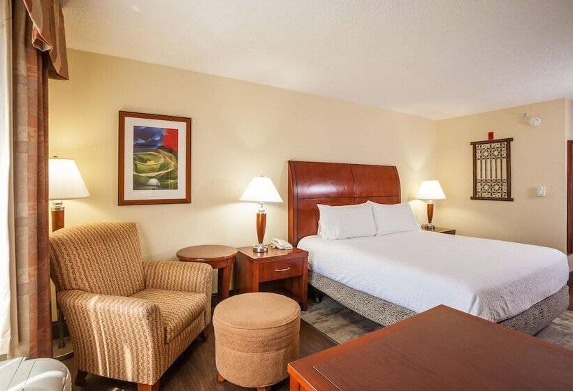 اتاق استاندارد, Hilton Garden Inn El Paso / University