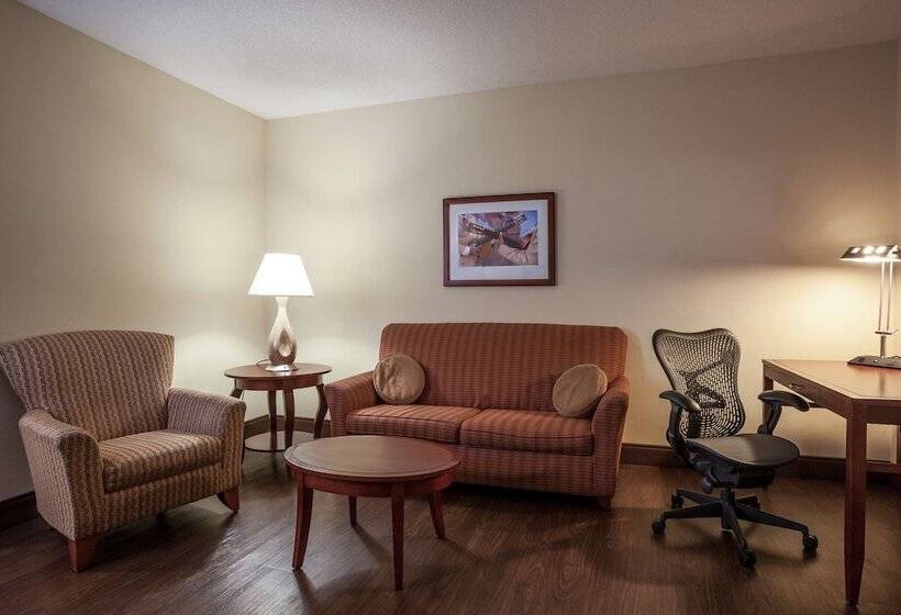 Suite, Hilton Garden Inn El Paso / University