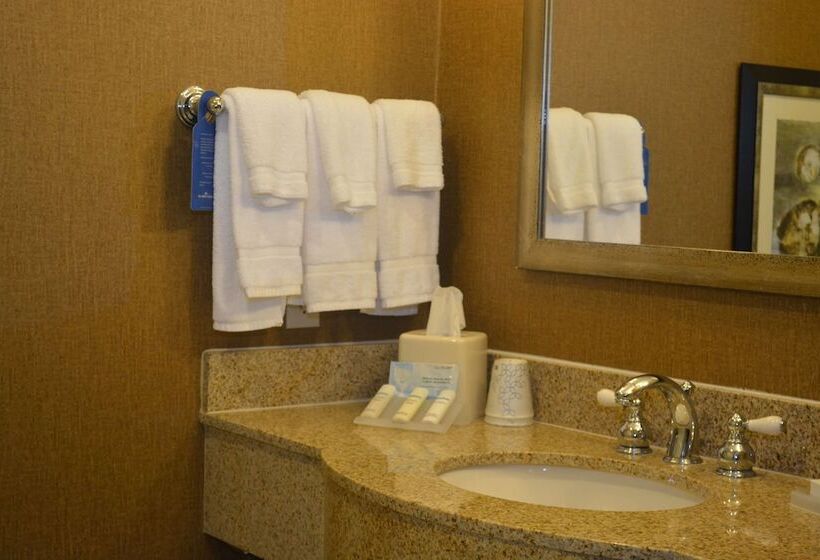 اتاق استاندارد, Hilton Garden Inn Houstonpearland