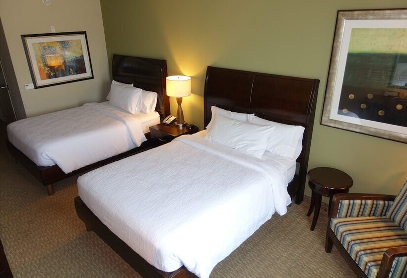 اتاق استاندارد, Hilton Garden Inn Houstonpearland