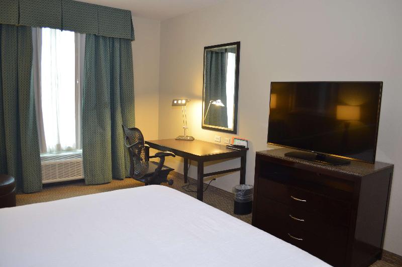 اتاق استاندارد با تخت بزرگ, Hilton Garden Inn Houstonpearland