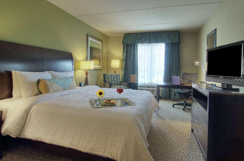اتاق استاندارد با تخت بزرگ, Hilton Garden Inn Houstonpearland