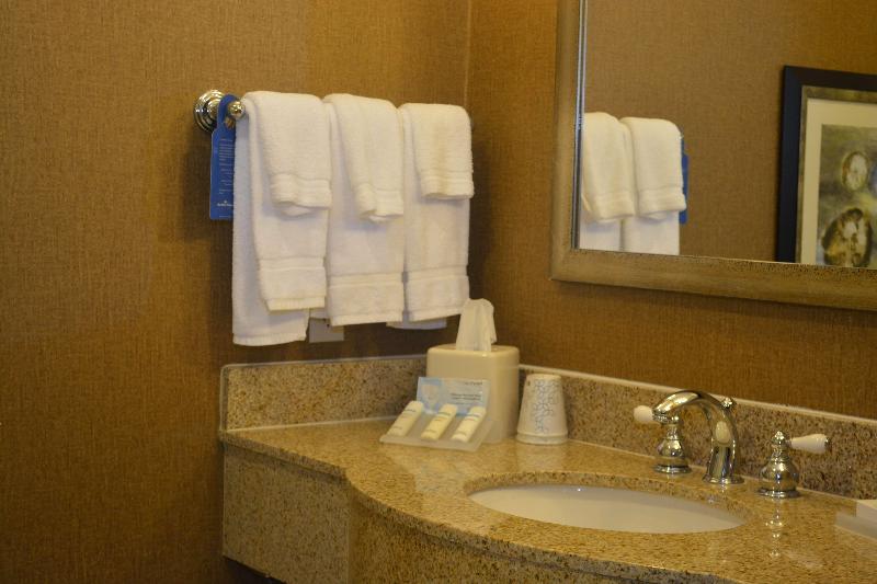 اتاق استاندارد با تخت بزرگ, Hilton Garden Inn Houstonpearland