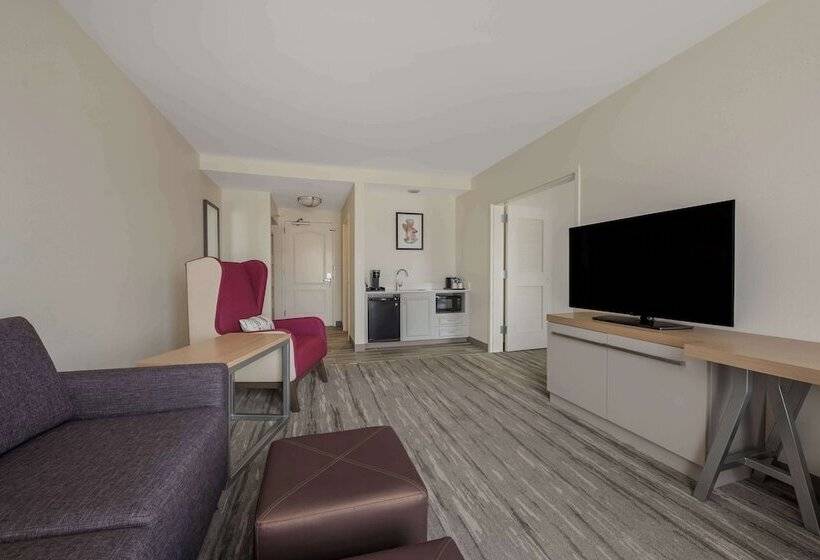 سوئیت با تخت بزرگ, Hilton Garden Inn Rockford