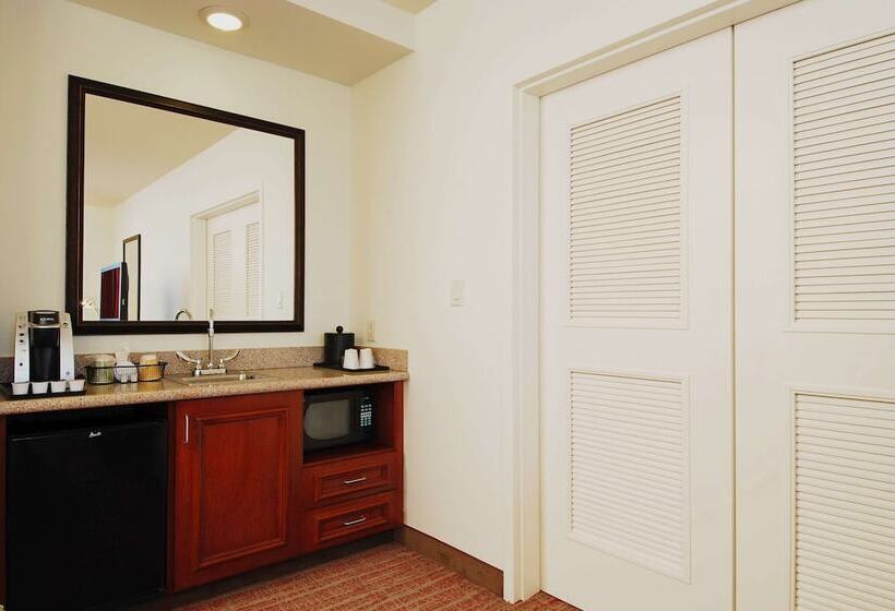 سوئیت با تخت بزرگ, Hilton Garden Inn Rockford