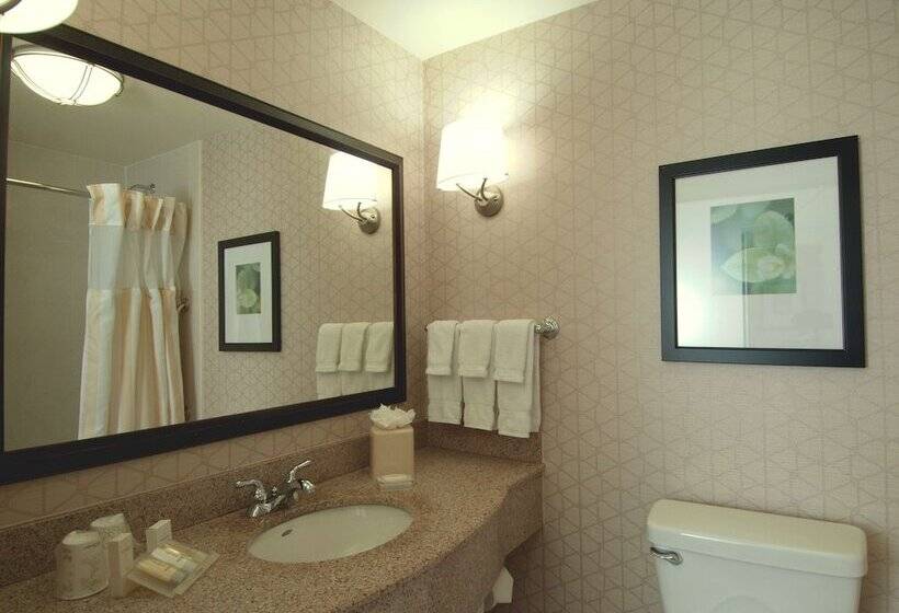 سوئیت با تخت بزرگ, Hilton Garden Inn Rockford