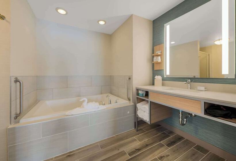 سوئیت با تخت بزرگ, Hilton Garden Inn Rockford