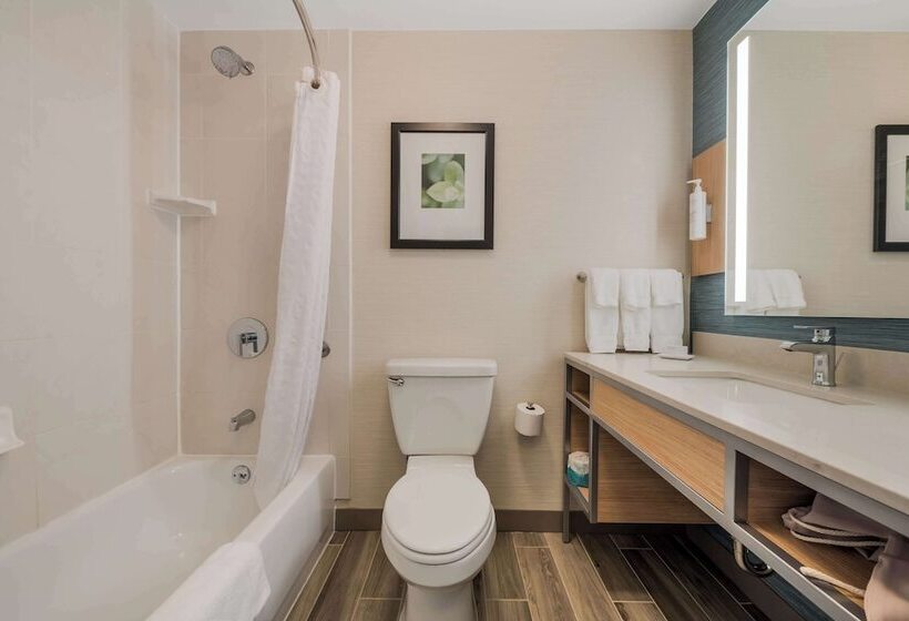 سوئیت با تخت بزرگ, Hilton Garden Inn Rockford