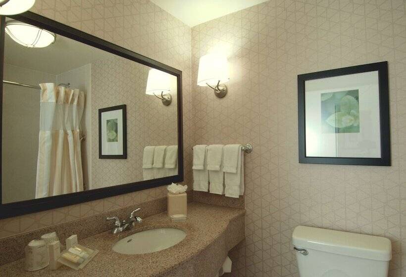 Quarto standard, Hilton Garden Inn Rockford