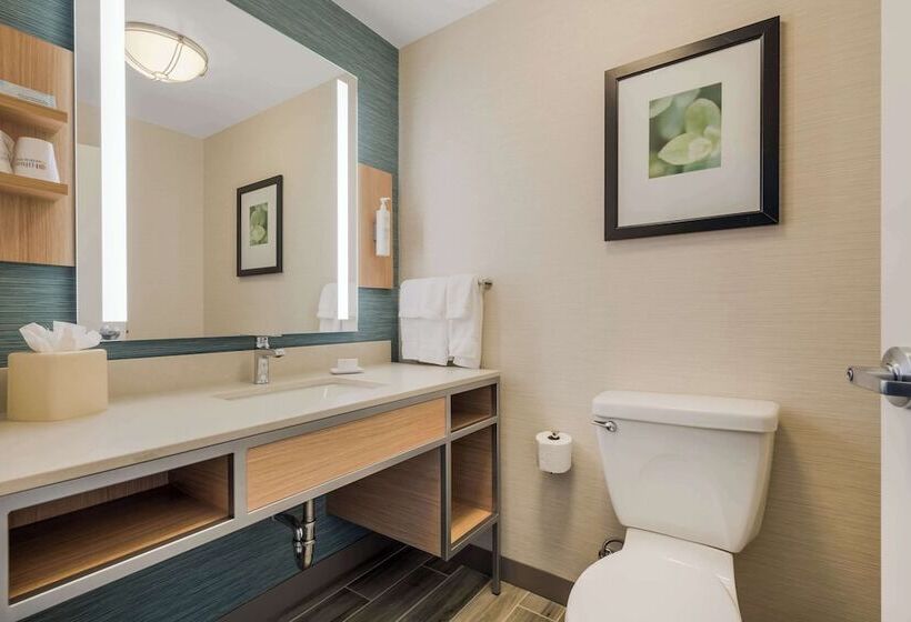 Quarto Standard para Deficientes, Hilton Garden Inn Rockford