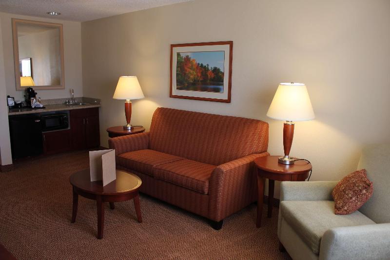 Deluxe Suite King Bed, Hilton Garden Inn Starkville
