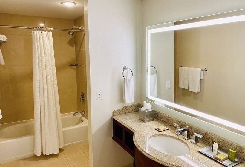 اتاق استاندارد با 2 تخت دوبل, Hilton President Kansas City