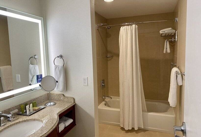 Standard Room Adapted for people with reduced mobility, Hilton President Kansas City