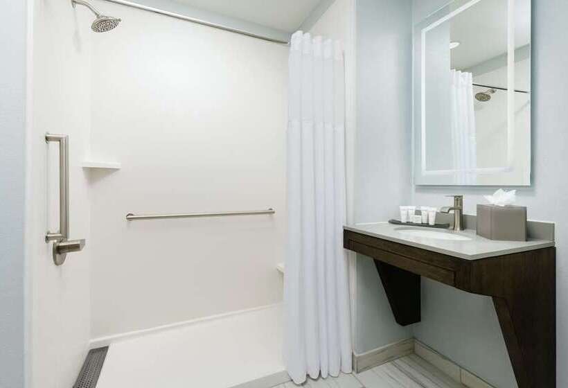 اتاق استاندارد با تخت بزرگ, Hilton President Kansas City