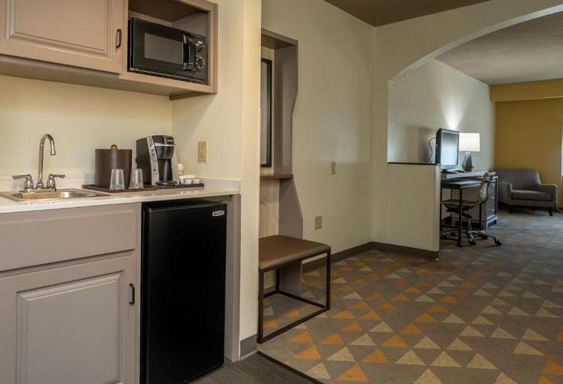 اتاق استاندارد با تخت بزرگ, Holiday Inn Hotel & Suites Beaufort At Highway 21, An Ihg