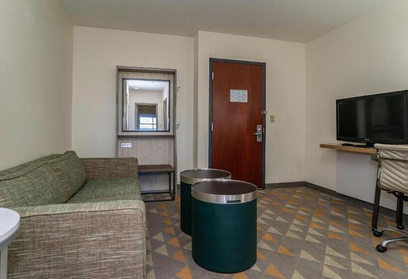 Executive Suite, Holiday Inn  & Suites Beaufort At Highway 21