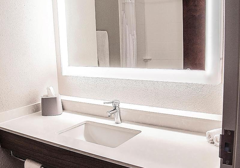 اتاق استاندارد با تخت بزرگ برای معلولان, Holiday Inn Express & Suites Alexandria, An Ihg