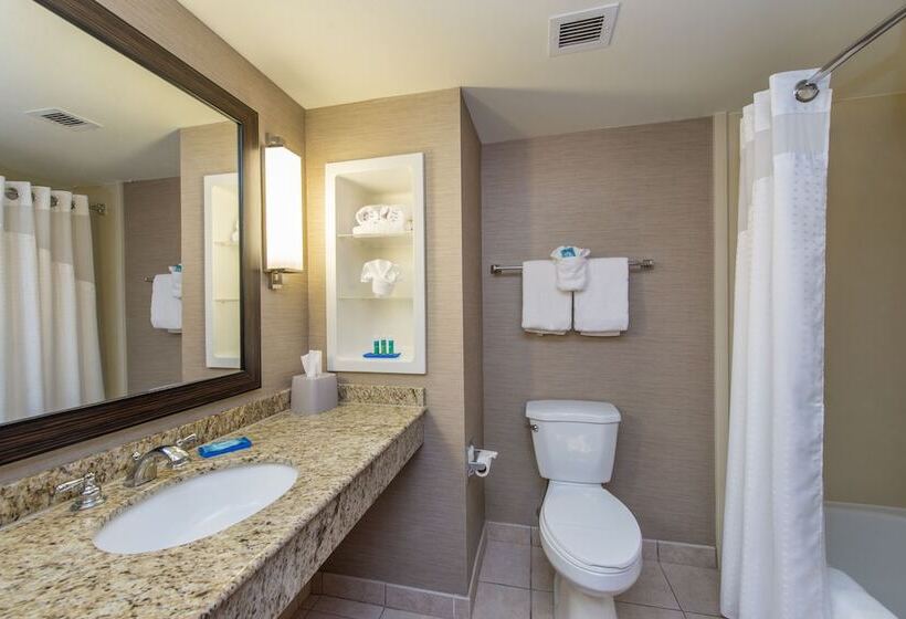 سوییت, Holiday Inn Express Hotel & Suites Auburn, An Ihg