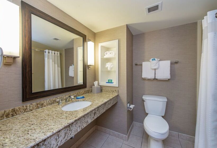 سوییت, Holiday Inn Express Hotel & Suites Auburn, An Ihg