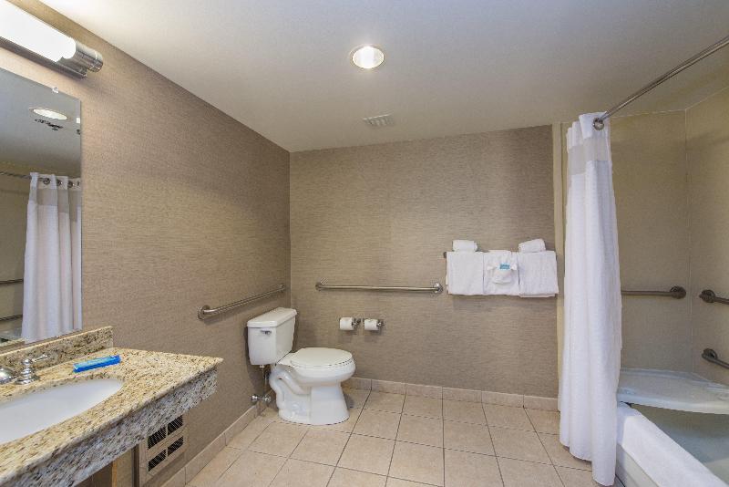 اتاق استاندارد با تخت بزرگ, Holiday Inn Express Hotel & Suites Auburn, An Ihg