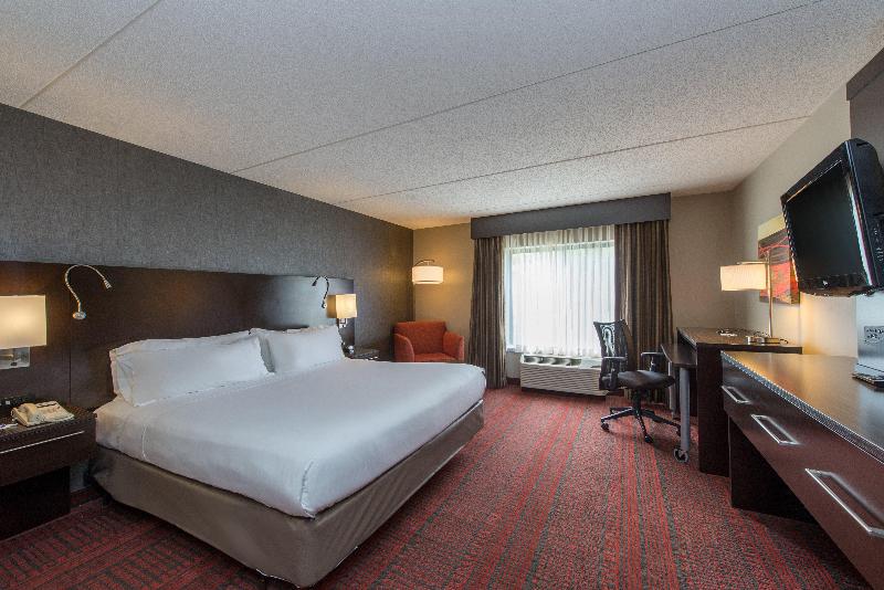 اتاق استاندارد با تخت بزرگ, Holiday Inn Express Hotel & Suites Auburn, An Ihg