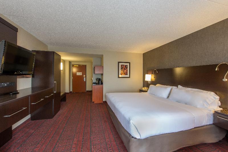 اتاق استاندارد با تخت بزرگ, Holiday Inn Express Hotel & Suites Auburn, An Ihg