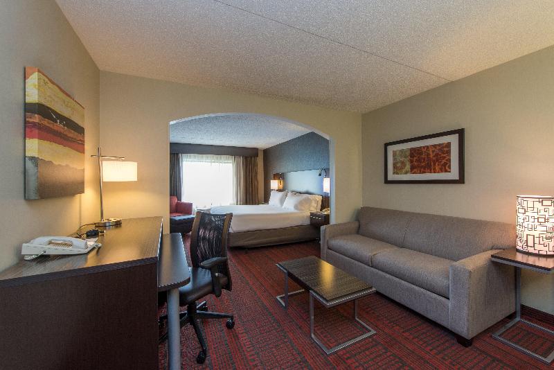 سوئیت با تخت بزرگ, Holiday Inn Express Hotel & Suites Auburn, An Ihg