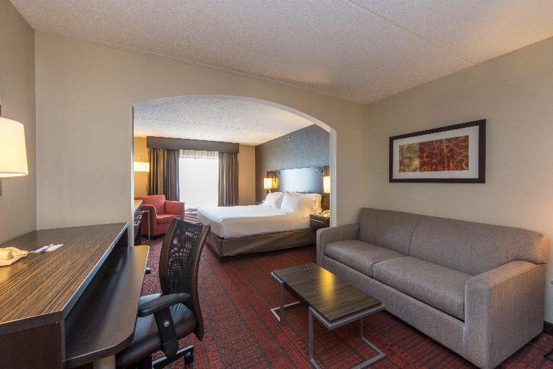سوئیت با تخت بزرگ, Holiday Inn Express Hotel & Suites Auburn, An Ihg