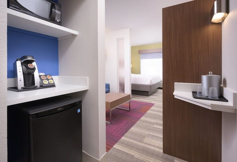 Suite, Holiday Inn Express  & Suites Chattanooga Downtown