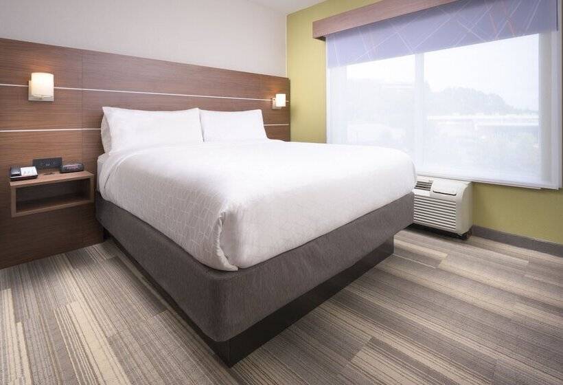 Suite Adaptada para personas con movilidad reducida, Holiday Inn Express  & Suites Chattanooga Downtown