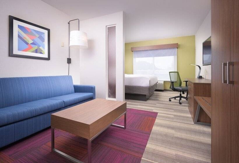 Suite Adaptada para personas con movilidad reducida, Holiday Inn Express  & Suites Chattanooga Downtown