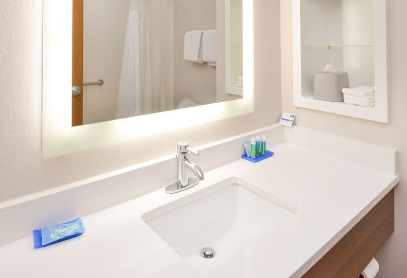 Chambre Standard Lit Double Adaptée aux Personnes à Mobilité Réduite, Holiday Inn Express  & Suites Chattanooga East Ridge
