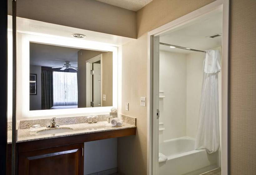 Suite, Homewood Suites By Hilton Dulles Int L Airport