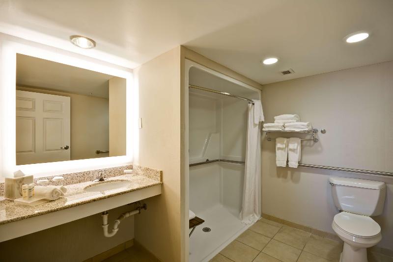 سوییت, Homewood Suites By Hilton Dulles Int L Airport
