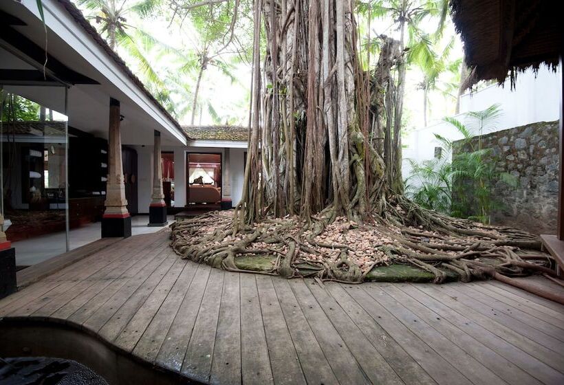 بانگلوی استاندارد, Niraamaya Wellness Retreats, Surya Samudra, Kovalam