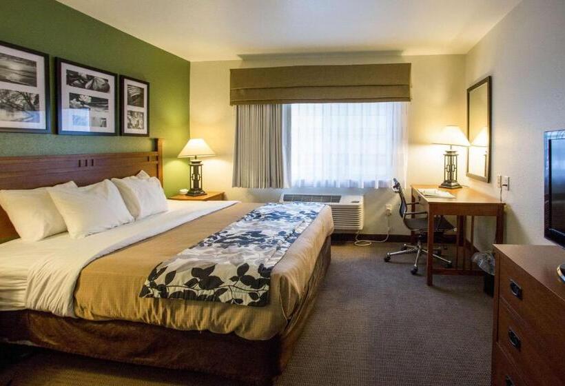 스위트 킹사이즈 침대, Sleep Inn & Suites Conference Center