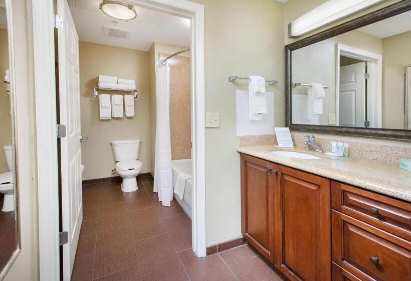 استودیو استاندارد با تخت کینگ, Staybridge Suites Augusta, An Ihg