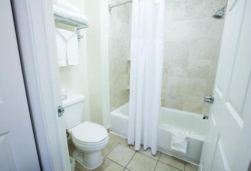سوئیت با تخت بزرگ, Staybridge Suites Austin Airport, An Ihg