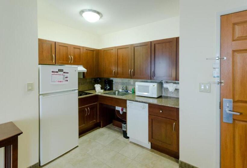 استودیوی استاندارد, Staybridge Suites Austin Airport, An Ihg