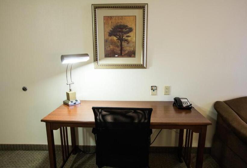 استودیوی استاندارد, Staybridge Suites Austin Airport, An Ihg