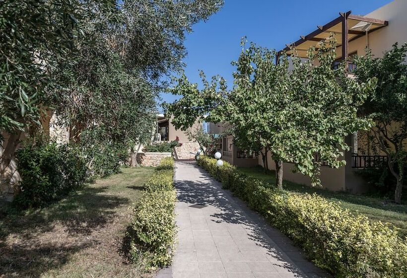 استودیوی استاندارد, Indigo Mare