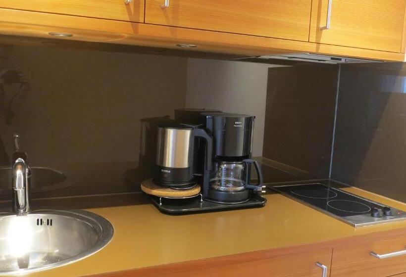 آپارتمان 1 خوابه, Apparthotel Gartenresidence Nalserhof