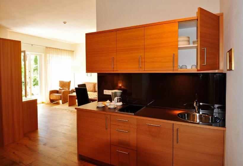 استودیو استاندارد با تراس, Apparthotel Gartenresidence Nalserhof